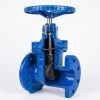 Z45X橡胶软密封闸阀01 Z45X Rubber Resilient Seated Gate Valve